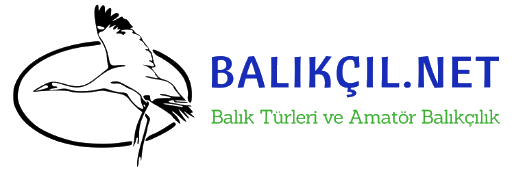balikcil.net